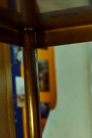 Liza Colón-Zayas in The Bear