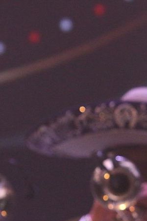 LOS ANGELES, CA - SEPTEMBER 18: Singer Juan Gabriel performs on stage at Nokia Theatre L.A. Live on September 18, 2014 in Los Angeles, California. (Photo by JC Olivera/Getty Images)