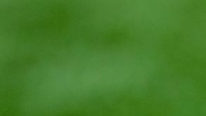 DETROIT, MICHIGAN - OCTOBER 08: The NFL logo is pictured on a Wilson brand football before the game between the Detroit Lions and Carolina Panthers at Ford Field on October 08, 2023 in Detroit, Michigan. (Photo by Nic Antaya/Getty Images)