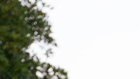 THE BACHELORETTE – “2104” – Jenn and Devin Strader in Auckland, New Zealand, as her journey to find love continues. While connections soar and the men tackle their competition for her heart, an unexpected visitor arrives, leaving Jenn more confused than ever. MONDAY, JULY 29 (8:00-10:01 p.m. EDT) on ABC. (DISNEY/John Fleenor)