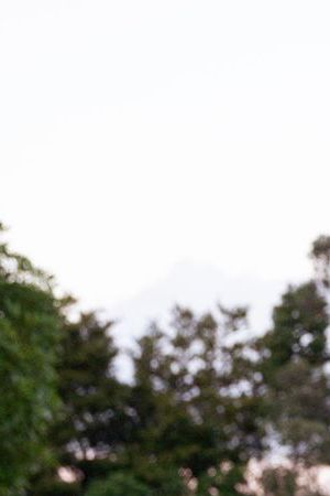 THE BACHELORETTE – “2104” – Jenn and Devin Strader in Auckland, New Zealand, as her journey to find love continues. While connections soar and the men tackle their competition for her heart, an unexpected visitor arrives, leaving Jenn more confused than ever. MONDAY, JULY 29 (8:00-10:01 p.m. EDT) on ABC. (DISNEY/John Fleenor)