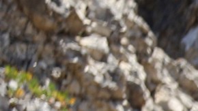 LA ISLA: DESAFIO EXTREMO