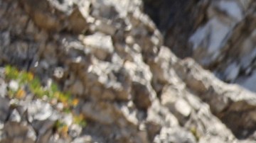 LA ISLA: DESAFIO EXTREMO