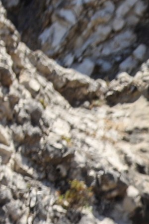 LA ISLA: DESAFIO EXTREMO