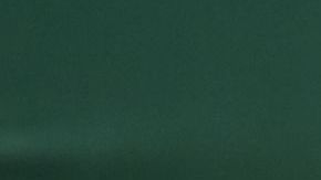 Leylah Fernandez at Wimbledon