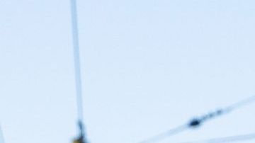 SEATTLE, WASHINGTON - JULY 11: Actor Xolo Maridueña of the film "Blue Beetle" visits the Pike Place Market on July 11, 2023 in Seattle, Washington. (Photo by Mat Hayward/Getty Images for Xolo)