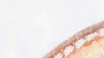 Chalino Sanchez_‘Nieves De Enero’