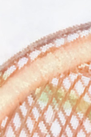 Chalino Sanchez_‘Nieves De Enero’