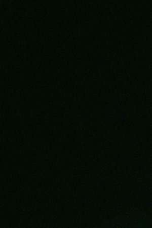 Mon Laferte_‘Tenochtitlán’