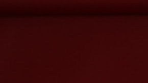 Aleks Syntek_ Total Syntek USA Tour 2024