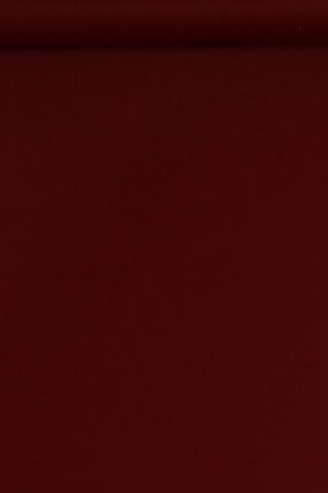 Aleks Syntek_ Total Syntek USA Tour 2024