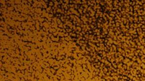 RuPaul's Drag Race Global All Stars