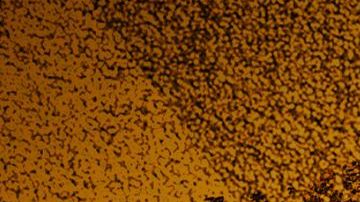 RuPaul's Drag Race Global All Stars