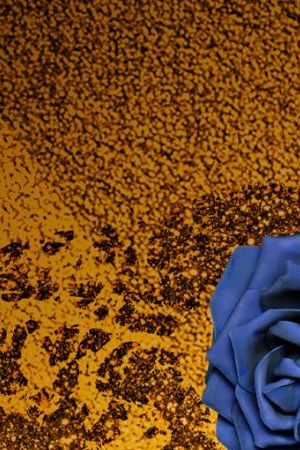 RuPaul's Drag Race Global All Stars