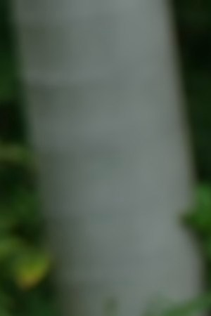 Love is Blind: México