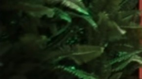 Love is Blind: México