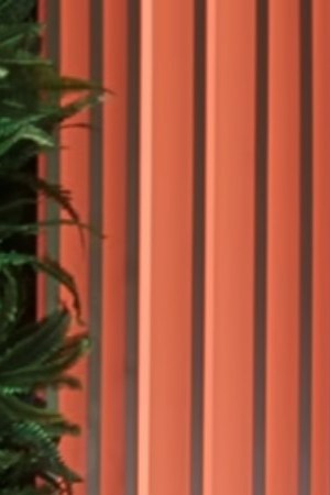 Love is Blind: México