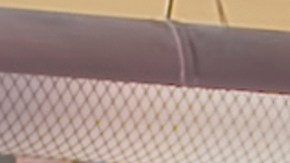 Love Is Blind México S1. (L to R) Gerardo Abel Zapiain Guajardo, Luis Fernando Campos, Carlos Hernández, Pamela Torrens, Irais Consuelo Ramírez Carrillo, Irving René Ángeles Servín, Leticia Alejandra Floresmeyer Llausás, Silvia Alejandra Delgado Huerta, José Maria Rivera Pedrazzi, Francesca Oettler Hinojos, Guillermo Eduardo Salomon García, José Fernado Bahena Hernández, Rocío Mirafuentes, Karen Lizeth Torales Rodríguez in Love Is Blind S1. Cr. Courtesy of Netflix / Netflix ©2024