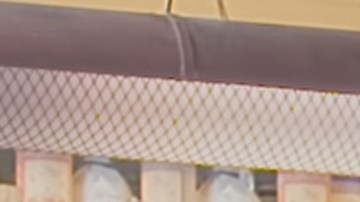 Love Is Blind México S1. (L to R) Gerardo Abel Zapiain Guajardo, Luis Fernando Campos, Carlos Hernández, Pamela Torrens, Irais Consuelo Ramírez Carrillo, Irving René Ángeles Servín, Leticia Alejandra Floresmeyer Llausás, Silvia Alejandra Delgado Huerta, José Maria Rivera Pedrazzi, Francesca Oettler Hinojos, Guillermo Eduardo Salomon García, José Fernado Bahena Hernández, Rocío Mirafuentes, Karen Lizeth Torales Rodríguez in Love Is Blind S1. Cr. Courtesy of Netflix / Netflix ©2024