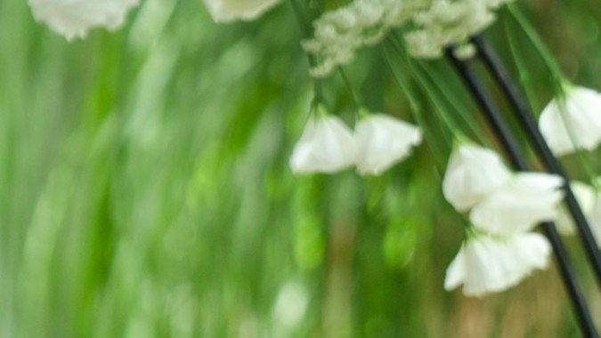 Love is Blind: México. Fernando Bahena in Love is Blind: México. Cr. Courtesy of Netflix ©2024