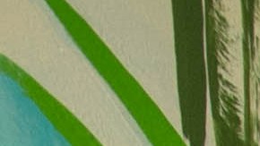 SheaMoisture x She Did That: Business That Bonds Launch