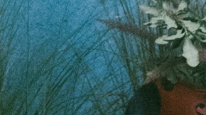 Christian Nodal_Estevie_'Un Besito Más'