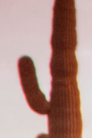 Jasiel Nuñez_‘Bien High’