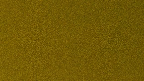 Daniela Spalla_This Week