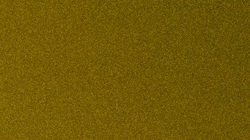 Daniela Spalla_This Week