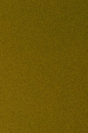 Daniela Spalla_This Week