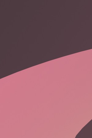 Ángela Aguilar-Christian Nodal-Newlyweds