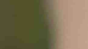 Cynthia Erivo in Wicked