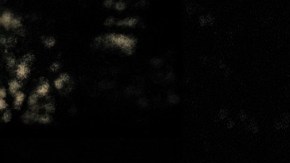 Arca-x-Tokischa_'Chama'