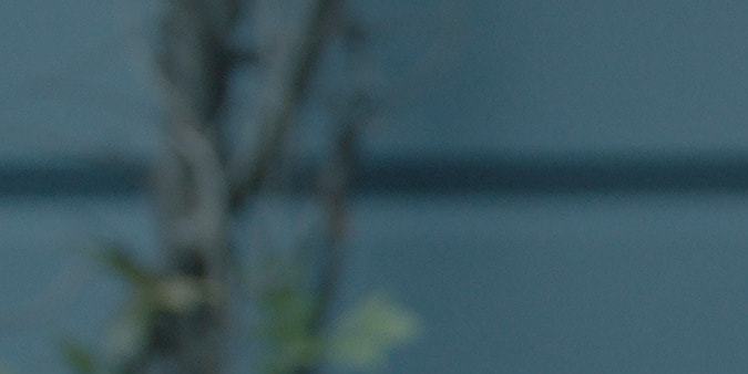 Cate Blanchett in Disclaimer