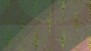 Drag Race México season 2