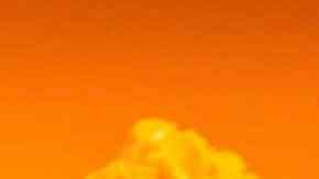 Adidas Dia de los Muertos sneakers