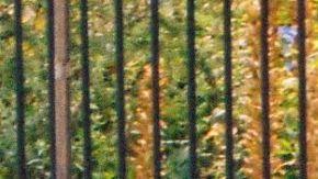 Claudia Rivera for Lo Nuestro pop-up shop