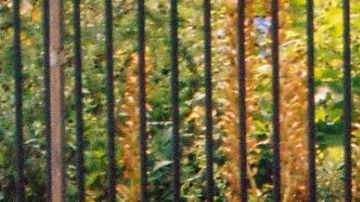 Claudia Rivera for Lo Nuestro pop-up shop