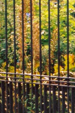 Claudia Rivera for Lo Nuestro pop-up shop