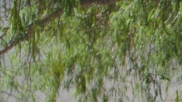 Manuel Garcia-Rulfo in Pedro Páramo