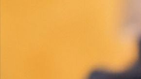 Ricardo Cervantes for La Monarca Bakery