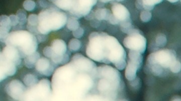 Ismael Cruz Córdova in The Rings of Power season 2