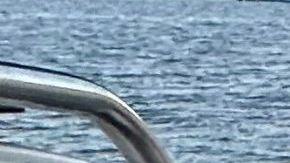 Natalie & the Aguilars