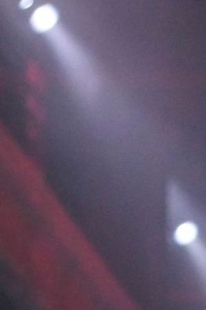 Model on the runway at Willy Chavarria RTW Spring 2025 as part of New York Ready to Wear Fashion Week on September 6, 2024 in New York, New York. (Photo by Giovanni Giannoni/WWD via Getty Images)