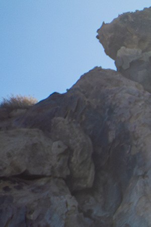 Pepe Aguilar_Hall of Fame