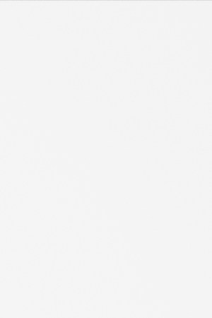 Pitbull_Vegas Residency