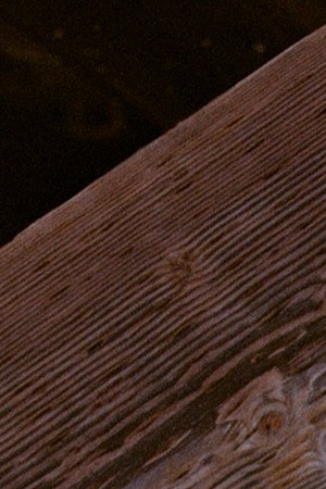 Sofia Valdes_Dannylux