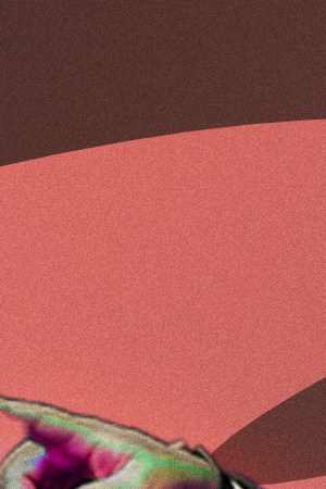 Harvey Guillén in What We Do in the Shadows, Moana 2, and Pedro Pascal in Gladiator II