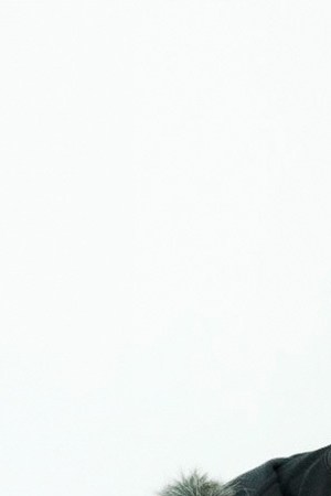 Floyymenor_‘Gata Only’_Cris MJ