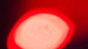 BROOKLYN, NEW YORK - OCTOBER 15: Adriana Lima walks the runway during the Victoria's Secret Fashion Show 2024 at Duggal Greenhouse on October 15, 2024 in Brooklyn, New York. (Photo by TheStewartofNY/FilmMagic)